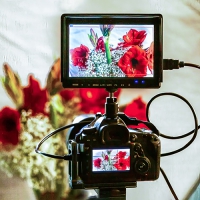 Hybrid-Kurs: „Und Action!“ – Filmen mit DSLR und DSLM