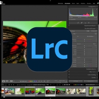 Online-Kurs: Adobe Lightroom intensiv: Grundlegende Fotoentwicklung