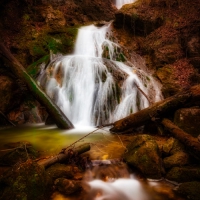 Fotoexkursion: Fotoexkursion: Fließendes Wasser und herbstliche Bäume in der Wolfschlucht